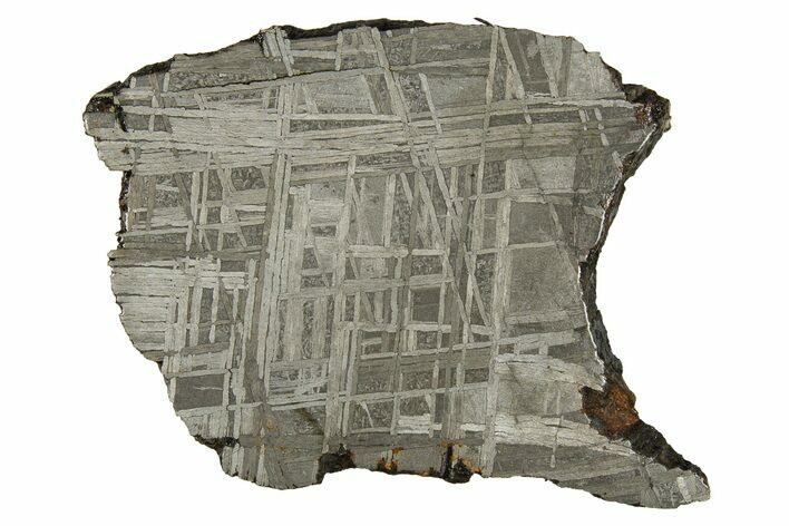 Etched Muonionalusta Meteorite Slice ( g) - Sweden #309807